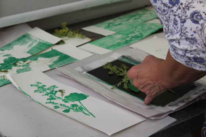Botanical Print Making, Bristol