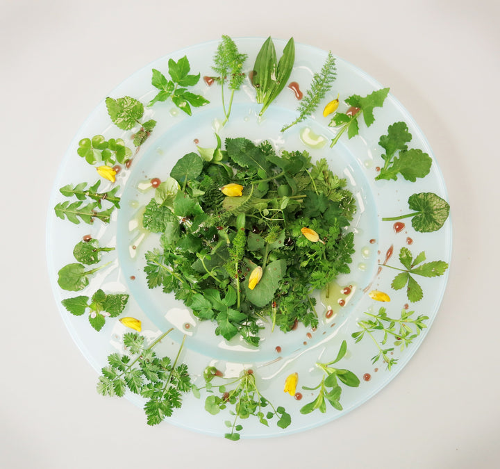 Forage London - The Edible City