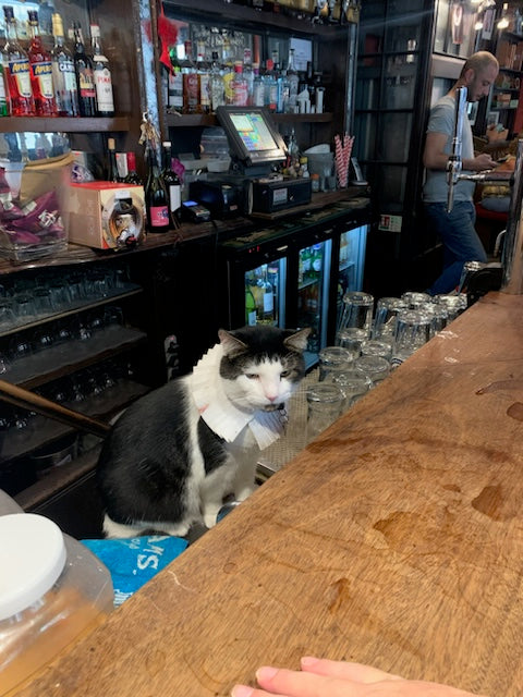 Pies, Pints and Peculiar Pubs